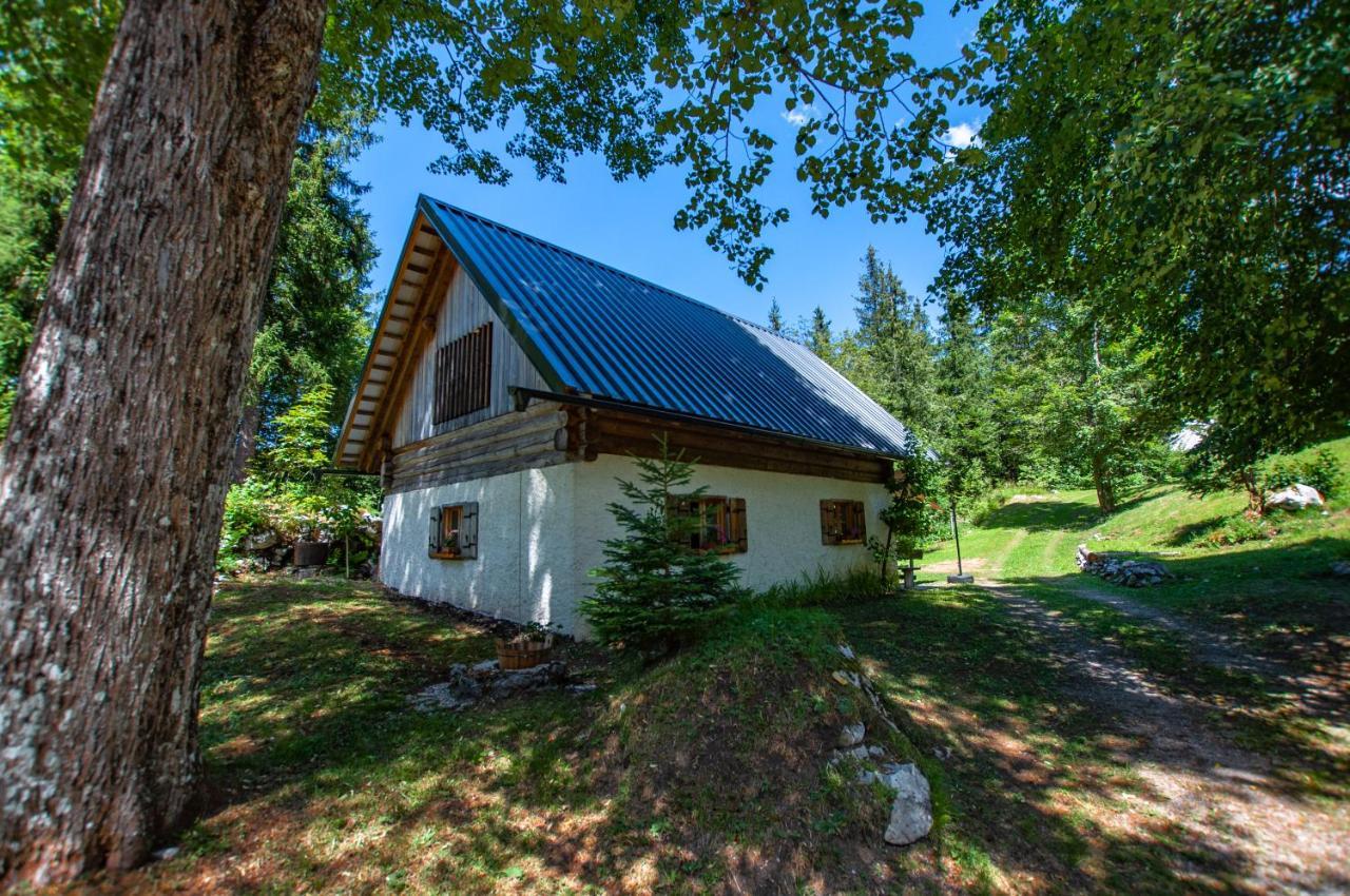 Vila Boutique House Vresje Bohinjska Bistrica Exteriér fotografie