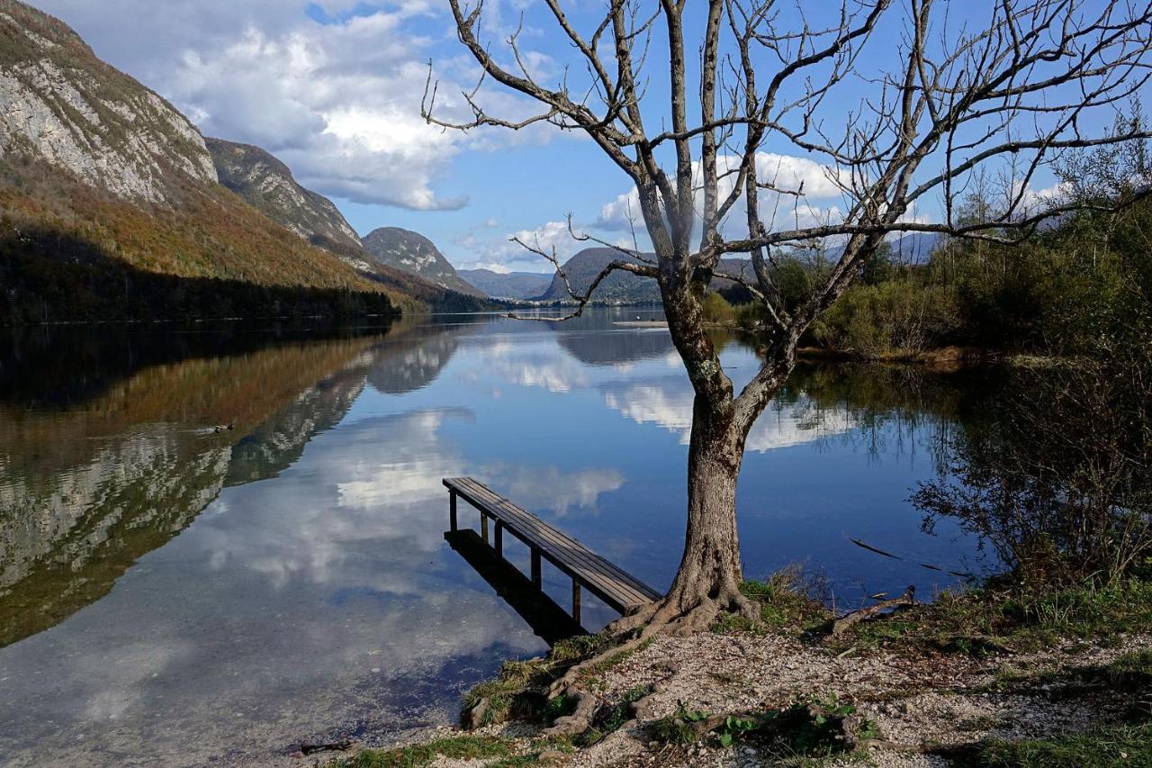 Vila Boutique House Vresje Bohinjska Bistrica Exteriér fotografie